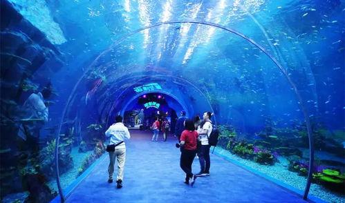 海洋最新爆料视频播放下载,最新海洋爆料视频下载解析  第2张